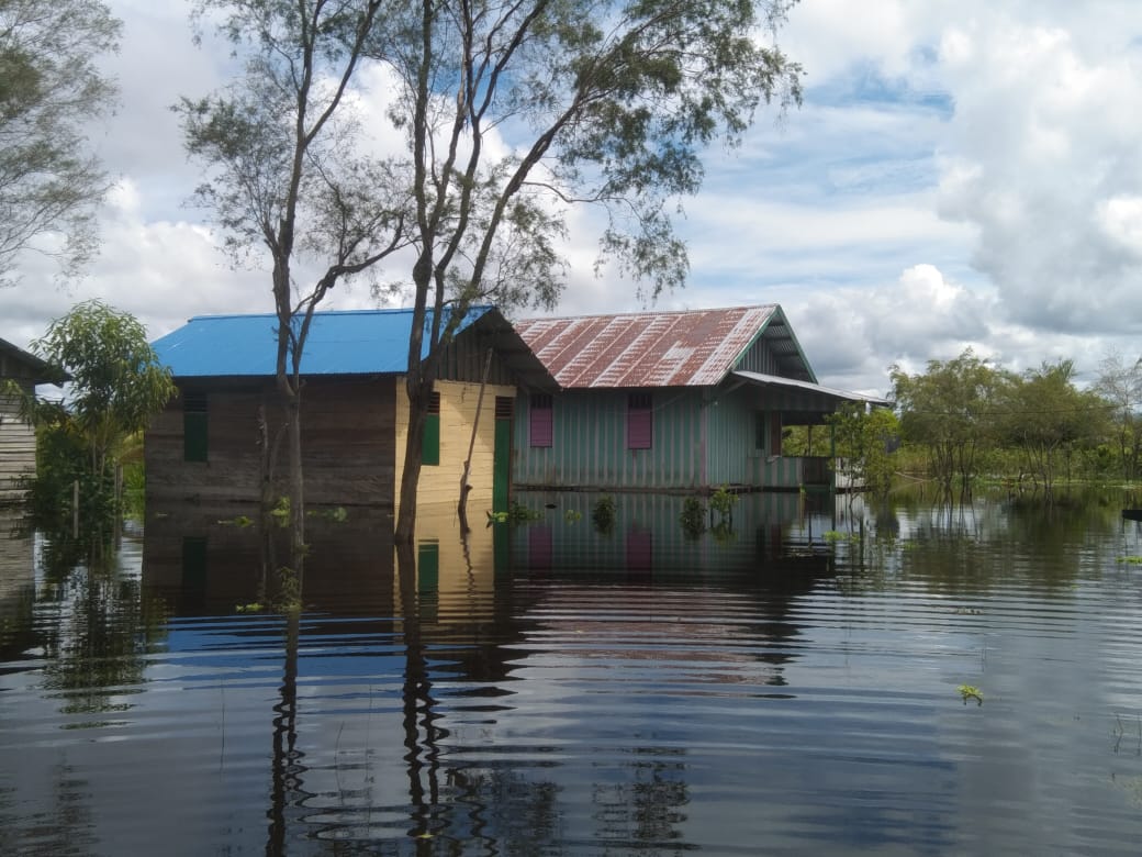 Banjir di Mappi, 639 Jiwa Terdampak